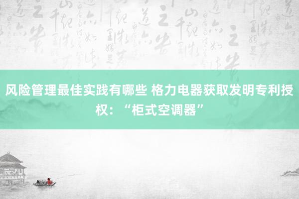 风险管理最佳实践有哪些 格力电器获取发明专利授权：“柜式空调器”