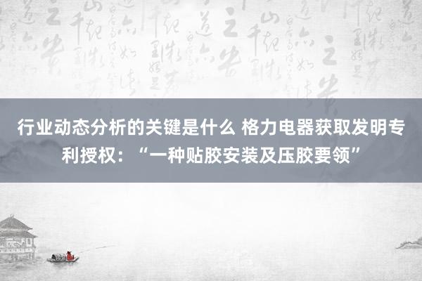 行业动态分析的关键是什么 格力电器获取发明专利授权：“一种贴胶安装及压胶要领”