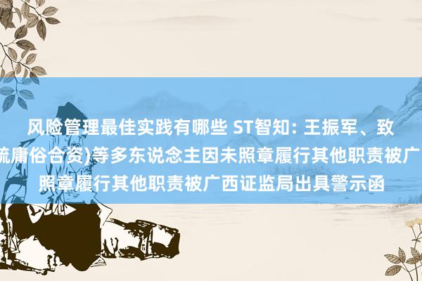 风险管理最佳实践有哪些 ST智知: 王振军、致同司帐师事务所(稀疏庸俗合资)等多东说念主因未照章履行其他职责被广西证监局出具警示函