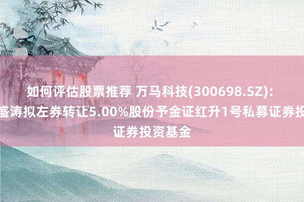 如何评估股票推荐 万马科技(300698.SZ): 大鼓舞盛涛拟左券转让5.00%股份予金证红升1号私募证券投资基金