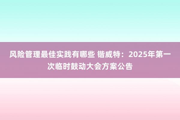 风险管理最佳实践有哪些 锴威特：2025年第一次临时鼓动大会方案公告