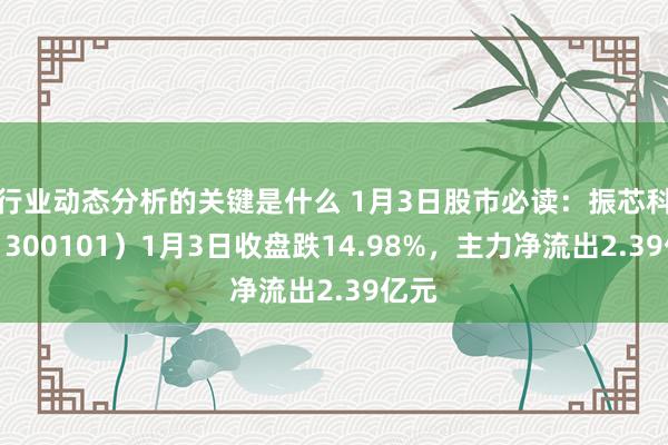 行业动态分析的关键是什么 1月3日股市必读：振芯科技（300101）1月3日收盘跌14.98%，主力净流出2.39亿元