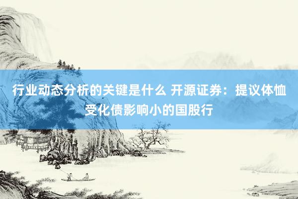 行业动态分析的关键是什么 开源证券：提议体恤受化债影响小的国股行