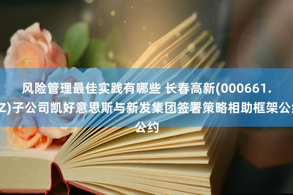 风险管理最佳实践有哪些 长春高新(000661.SZ)子公司凯好意思斯与新发集团签署策略相助框架公约