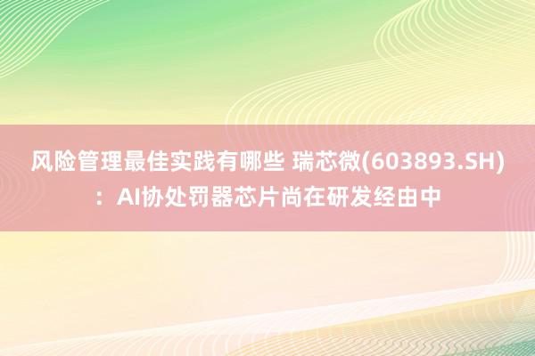 风险管理最佳实践有哪些 瑞芯微(603893.SH)：AI协处罚器芯片尚在研发经由中