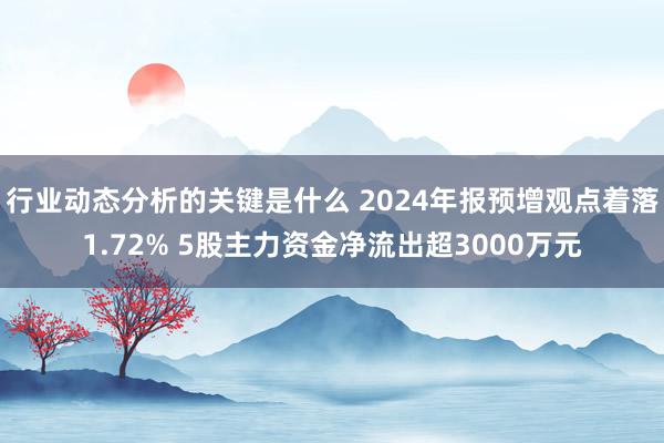 行业动态分析的关键是什么 2024年报预增观点着落1.72% 5股主力资金净流出超3000万元