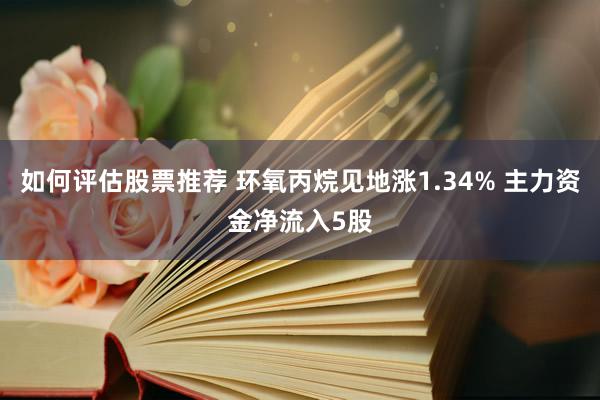 如何评估股票推荐 环氧丙烷见地涨1.34% 主力资金净流入5股