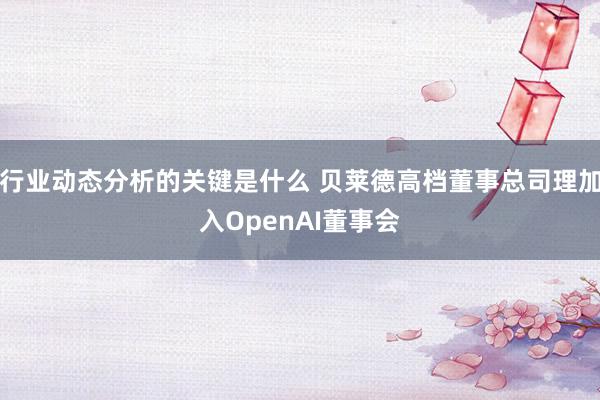 行业动态分析的关键是什么 贝莱德高档董事总司理加入OpenAI董事会