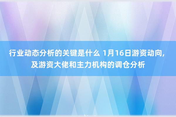 行业动态分析的关键是什么 1月16日游资动向, 及游资大佬和主力机构的调仓分析