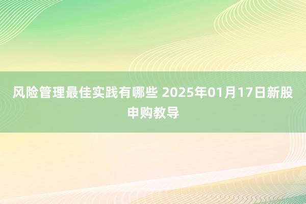 风险管理最佳实践有哪些 2025年01月17日新股申购教导