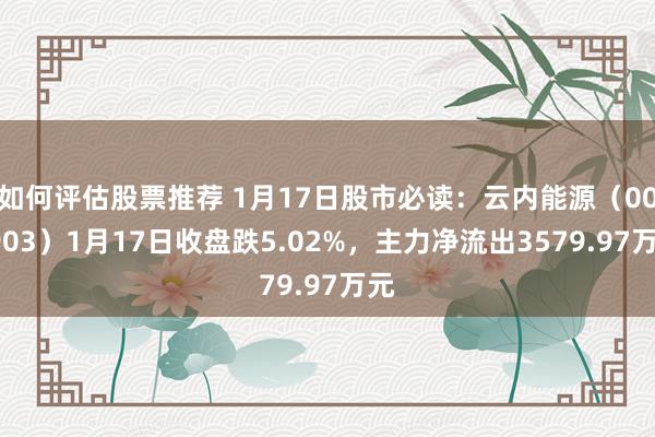 如何评估股票推荐 1月17日股市必读：云内能源（000903）1月17日收盘跌5.02%，主力净流出3579.97万元