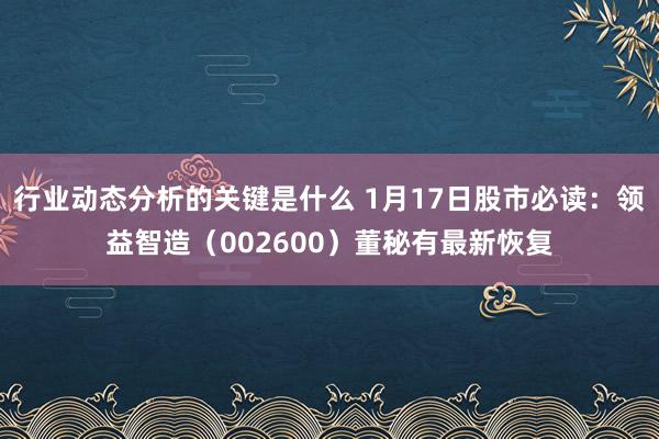 行业动态分析的关键是什么 1月17日股市必读：领益智造（002600）董秘有最新恢复