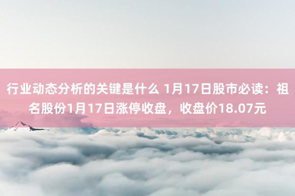 行业动态分析的关键是什么 1月17日股市必读：祖名股份1月17日涨停收盘，收盘价18.07元