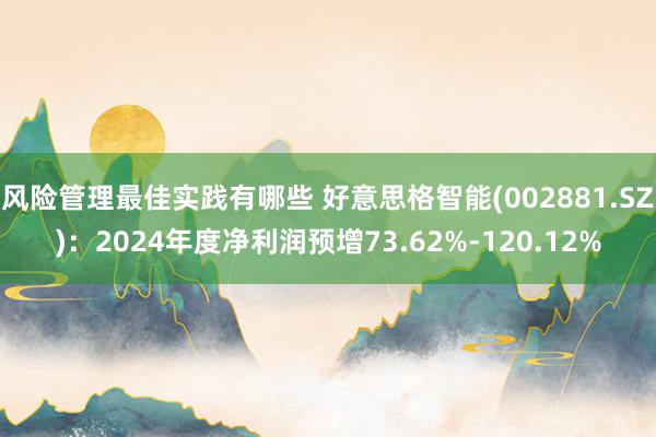 风险管理最佳实践有哪些 好意思格智能(002881.SZ)：2024年度净利润预增73.62%-120.12%