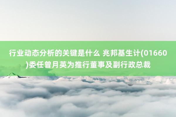 行业动态分析的关键是什么 兆邦基生计(01660)委任曾月英为推行董事及副行政总裁