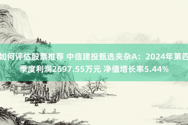 如何评估股票推荐 中信建投甄选夹杂A：2024年第四季度利润2697.55万元 净值增长率5.44%