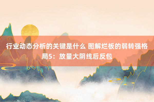 行业动态分析的关键是什么 图解烂板的弱转强格局5：放量大阴线后反包