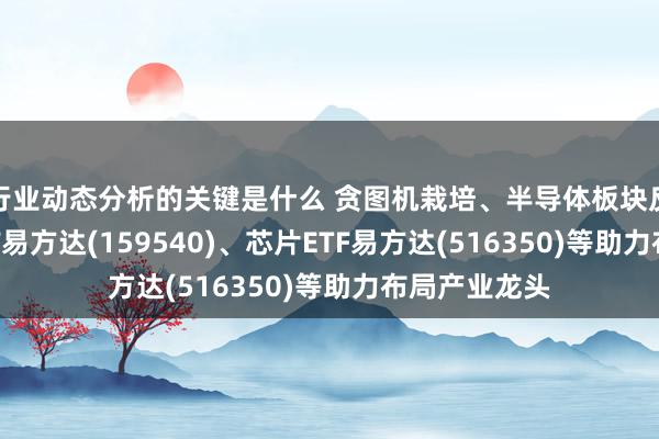 行业动态分析的关键是什么 贪图机栽培、半导体板块反弹，信创ETF易方达(159540)、芯片ETF易方达(516350)等助力布局产业龙头