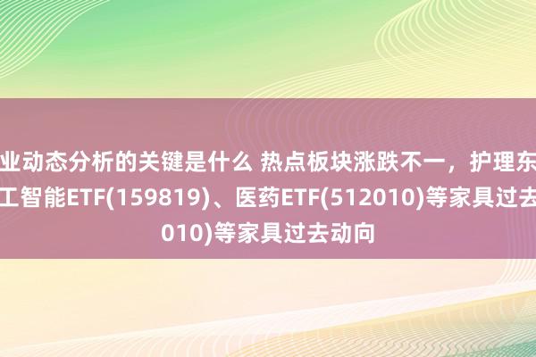 行业动态分析的关键是什么 热点板块涨跌不一，护理东说念主工智能ETF(159819)、医药ETF(512010)等家具过去动向