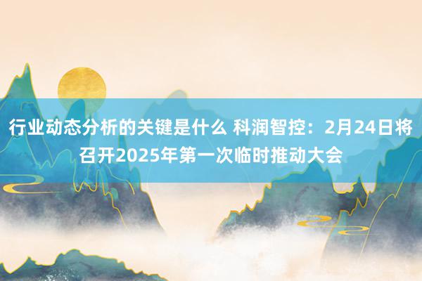 行业动态分析的关键是什么 科润智控：2月24日将召开2025年第一次临时推动大会