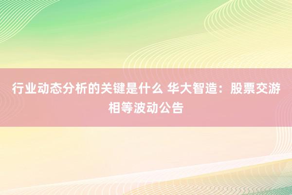 行业动态分析的关键是什么 华大智造：股票交游相等波动公告