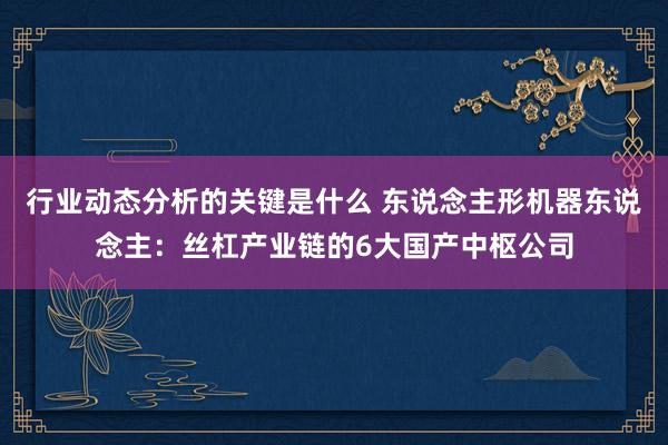 行业动态分析的关键是什么 东说念主形机器东说念主：丝杠产业链的6大国产中枢公司