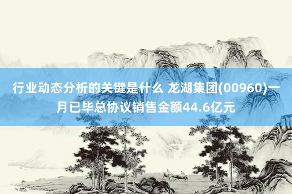 行业动态分析的关键是什么 龙湖集团(00960)一月已毕总协议销售金额44.6亿元