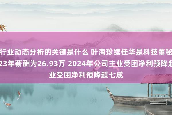 行业动态分析的关键是什么 叶海珍续任华是科技董秘：2023年薪酬为26.93万 2024年公司主业受困净利预降超七成