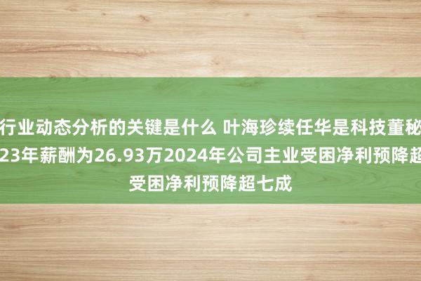 行业动态分析的关键是什么 叶海珍续任华是科技董秘：2023年薪酬为26.93万2024年公司主业受困净利预降超七成