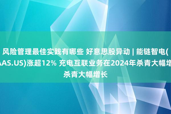 风险管理最佳实践有哪些 好意思股异动 | 能链智电(NAAS.US)涨超12% 充电互联业务在2024年杀青大幅增长