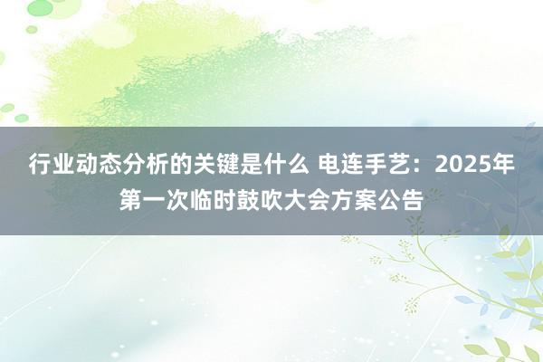 行业动态分析的关键是什么 电连手艺：2025年第一次临时鼓吹大会方案公告