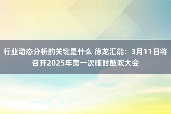 行业动态分析的关键是什么 德龙汇能：3月11日将召开2025年第一次临时鼓吹大会