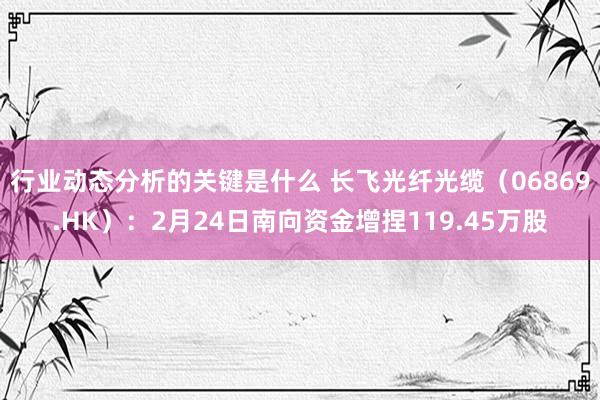 行业动态分析的关键是什么 长飞光纤光缆（06869.HK）：2月24日南向资金增捏119.45万股