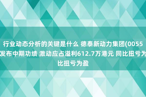 行业动态分析的关键是什么 德泰新动力集团(00559)发布中期功绩 激动应占溢利612.7万港元 同比扭亏为盈