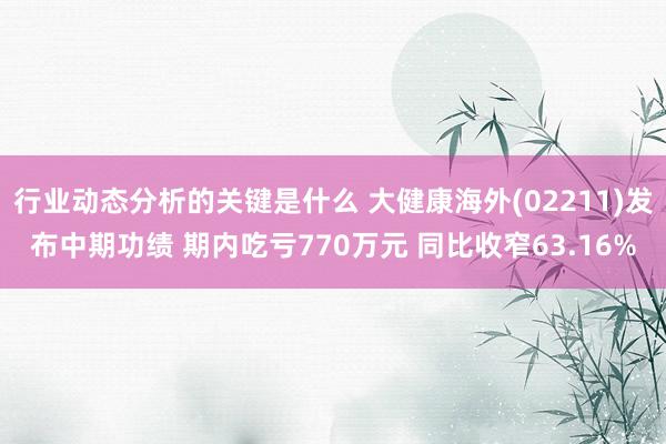 行业动态分析的关键是什么 大健康海外(02211)发布中期功绩 期内吃亏770万元 同比收窄63.16%