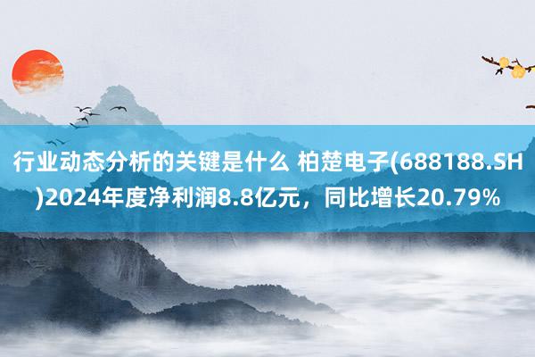 行业动态分析的关键是什么 柏楚电子(688188.SH)2024年度净利润8.8亿元，同比增长20.79%