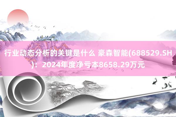 行业动态分析的关键是什么 豪森智能(688529.SH)：2024年度净亏本8658.29万元