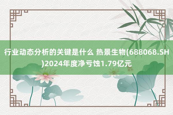 行业动态分析的关键是什么 热景生物(688068.SH)2024年度净亏蚀1.79亿元