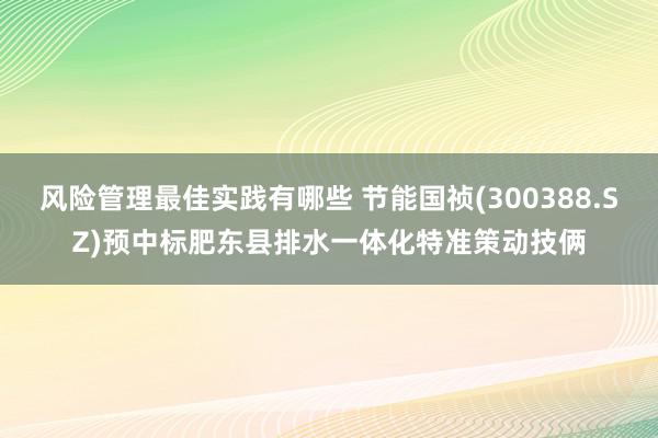 风险管理最佳实践有哪些 节能国祯(300388.SZ)预中标肥东县排水一体化特准策动技俩