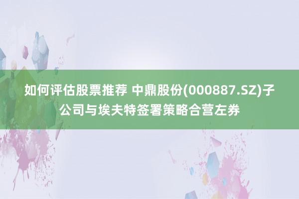 如何评估股票推荐 中鼎股份(000887.SZ)子公司与埃夫特签署策略合营左券