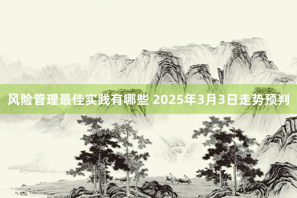 风险管理最佳实践有哪些 2025年3月3日走势预判