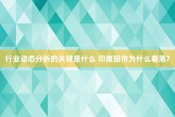 行业动态分析的关键是什么 印度股市为什么着落?