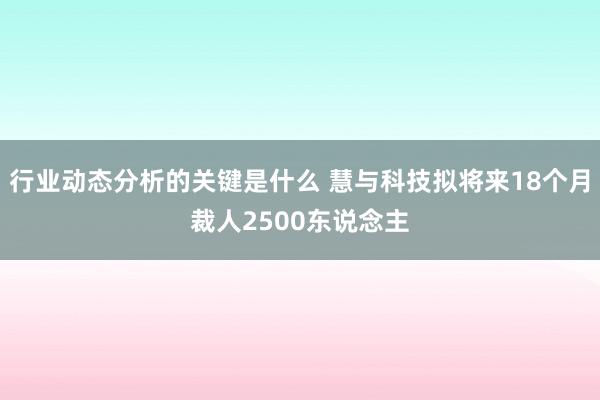 行业动态分析的关键是什么 慧与科技拟将来18个月裁人2500东说念主