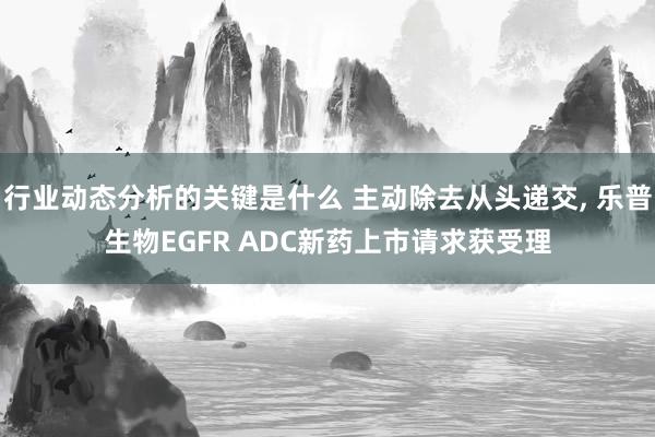 行业动态分析的关键是什么 主动除去从头递交, 乐普生物EGFR ADC新药上市请求获受理