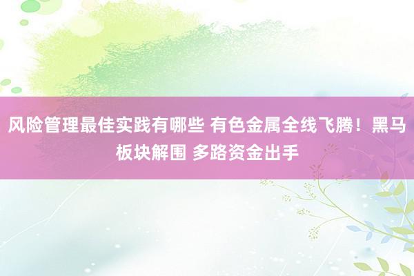 风险管理最佳实践有哪些 有色金属全线飞腾！黑马板块解围 多路资金出手