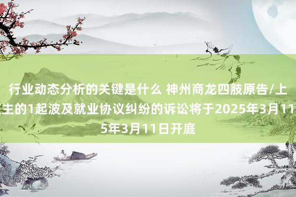 行业动态分析的关键是什么 神州商龙四肢原告/上诉东谈主的1起波及就业协议纠纷的诉讼将于2025年3月11日开庭