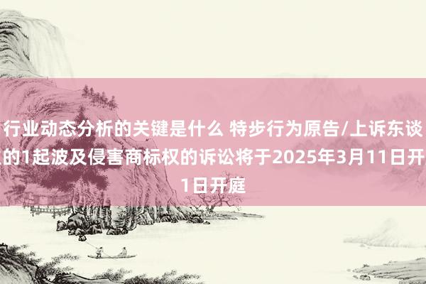 行业动态分析的关键是什么 特步行为原告/上诉东谈主的1起波及侵害商标权的诉讼将于2025年3月11日开庭