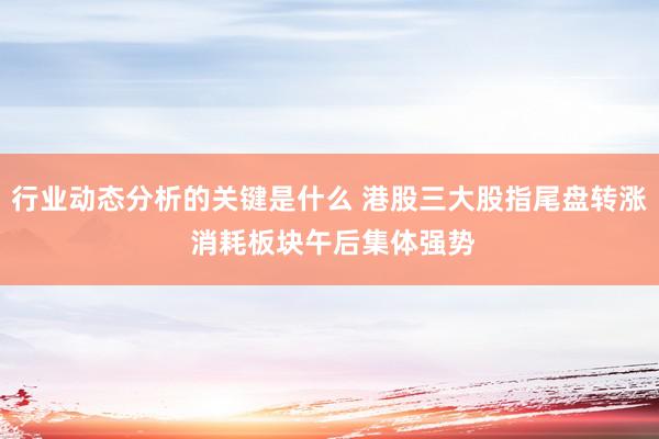 行业动态分析的关键是什么 港股三大股指尾盘转涨 消耗板块午后集体强势