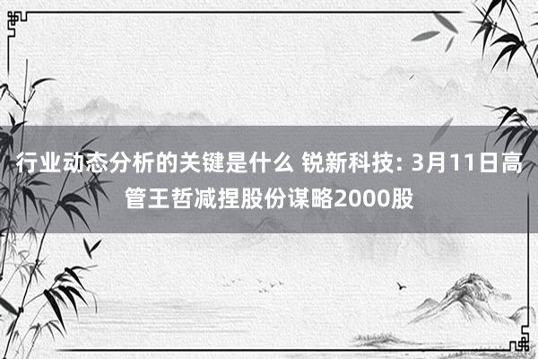 行业动态分析的关键是什么 锐新科技: 3月11日高管王哲减捏股份谋略2000股