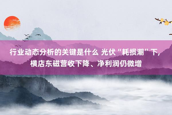 行业动态分析的关键是什么 光伏“耗损潮”下, 横店东磁营收下降、净利润仍微增